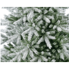 Frosted Indiana Spruce